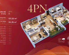 Ảnh đại diện
