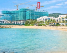 Ảnh đại diện