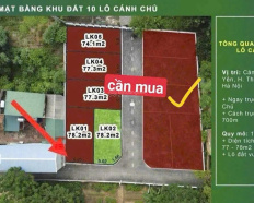 Ảnh đại diện