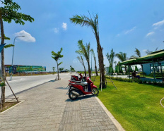 Ảnh đại diện