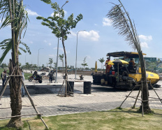 Ảnh đại diện