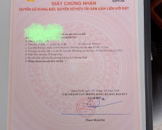 Ảnh đại diện