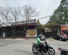 Ảnh đại diện