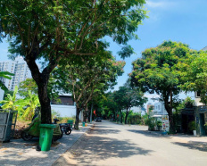 Ảnh đại diện