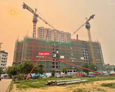Ảnh đại diện