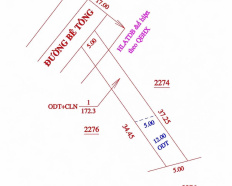 Ảnh đại diện