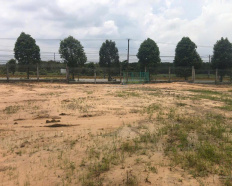 8
            
        
        
            
                
                    
                        Cơ hội đầu tư hiếm: 55.338m² mặt tiền QL13 pháp lý minh bạch thương lượng trực tiếp
                    
                
                
                    
                        Giá thỏa thuận
                            ·
                            55.338 m²

                            
                    
                    
                            
                        P. Bến Cát (H. Bàu Bàng cũ)
                    
                    
                
                    
                        - Chính chủ bán đất mặt tiền. - Địa chỉ: QL13, P. Bến Cát, TP. HCM (cách TT Hành Chính Bàu Bàng 02 km). - Tổng diện tích: 55,338m² 5.5 ha, sổ hồng chính chủ gồm 03 sổ, 02 sổ nhỏ mặt tiền đều có thổ cư 200 m² trên mỗi sổ. - Giá bán thửa lớn: 135 tỷ /43,773 m² 4,38 ha. - Giá bán 02 thửa nhỏ mặt tiền: 115 tỷ/11,565 m² 1.1 ha. - Bán tổng diện tích hoặc tách lẻ (thương lượng chính chủ). - Pháp lý rõ ràng, minh bạch. - Hạ tầng: Đất cao hơn mặt lộ QL13,...
                    
            
            
                
                        
                                    
            Đăng hôm nay