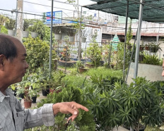 5
            
        
        
            
                
                    
                        Sổ đỏ chính chủ cần bán đất nông nghiệp mặt đường đại lộ Nguyễn Văn Linh giáp khu đô thị Trung Sơn
                    
                
                
                    
                        33 tỷ
                            ·
                            576,3 m²
                            ·
                            57,26 tr/m²

                            
                    
                    
                            
                        X. Bình Chánh (H. Bình Chánh cũ)
                    
                    
                
                    
                        Sổ đỏ chính chủ cần bán đất  nông nghiệp mặt đường đại lộ Nguyễn Văn Linh giáp khu đô thị Trung Sơn và quận 7. Vị trí đât hiện đang được qui hoạch là khu dân cư, chơ thành phố có quyết định chi tiết thì chuyển đổi sang đất ở đô thị lâu dài ( người mua tự kiểm tra lại thông tin qui hoạch của thành phố). Hiện đang cho thuê cửa hàng bán cây cảnh 18tr/tháng.
                    
            
            
                
                        
                                    
            Đăng hôm qua