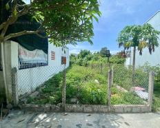 Ảnh đại diện