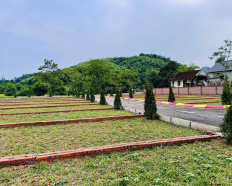 Ảnh đại diện