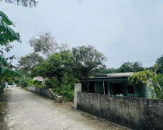 Ảnh đại diện
