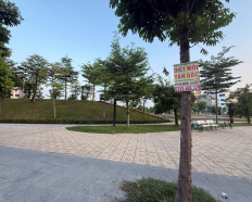 Ảnh đại diện