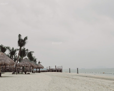 Ảnh đại diện
