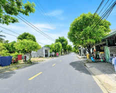 Ảnh đại diện