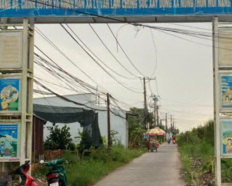 Ảnh đại diện