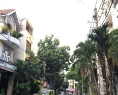Ảnh đại diện