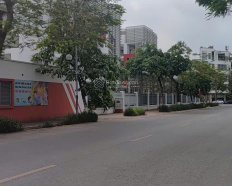 Ảnh đại diện
