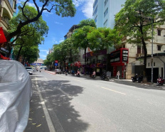 Ảnh đại diện