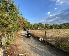 Ảnh đại diện
