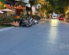 Ảnh đại diện