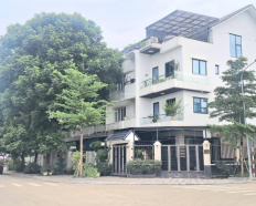 Ảnh đại diện