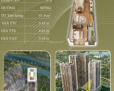 Ảnh đại diện