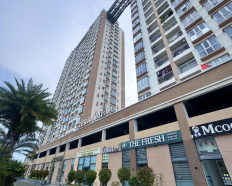 Ảnh đại diện