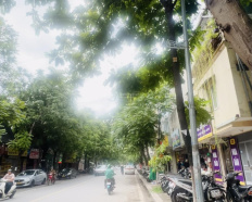 Ảnh đại diện