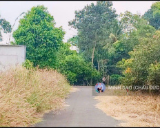 Ảnh đại diện
