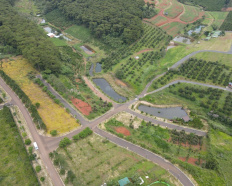Ảnh đại diện