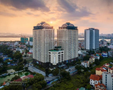 Ảnh đại diện