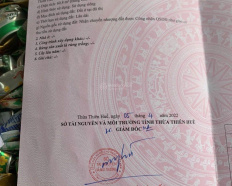Ảnh đại diện