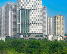 Ảnh đại diện