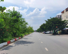Ảnh đại diện