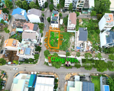 Ảnh đại diện