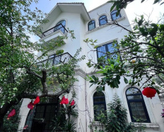 Ảnh đại diện