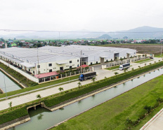 Ảnh đại diện