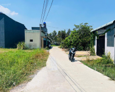 Ảnh đại diện