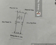 Ảnh đại diện