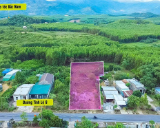 Ảnh đại diện