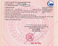 Ảnh đại diện
