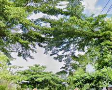Ảnh đại diện