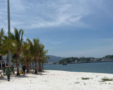 Ảnh đại diện