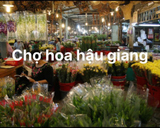 Ảnh đại diện