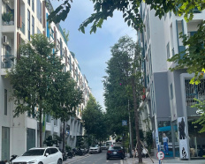 Ảnh đại diện