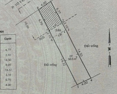 Ảnh đại diện