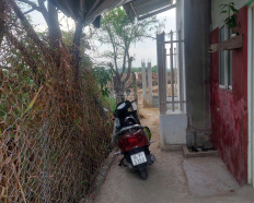 Ảnh đại diện