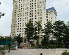 Ảnh đại diện