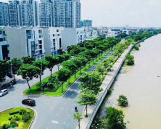 Ảnh đại diện