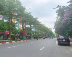 Ảnh đại diện